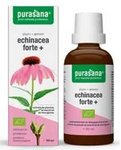Echinacea forte (Echinacea purpurea) droppar kosttillskott bio 50 ml