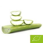 Färsk aloe vera bio (ca 0,50 kg)