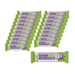 SET OM 20 x RAW ENERGY bar BIO svartvinbär-kokosnöt NON-GMO. BIO 50 g