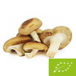 Shiitake-svampar färska bio (Polen) (ca 0,20 kg)