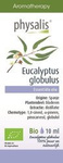 Eterisk olja av eukalyptus (Eucalyptus Globulus) BIO 10 ml - Physalis