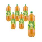 SET OM 6 x Kombucha grönt te BIO 2 l