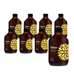 SET OM 8 x Kombucha Gurkmeja + ingefära BIO 330 ml