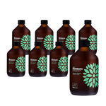 SET OM 8 x Kombucha Gurka+Koriander BIO 315 ml