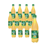 SET OM 12 x Kombucha grönt te med aloe vera BIO 500 ml