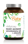 Young kornjuicepulver + chlorella 500 mg tabletter kosttillskott 120 g - Batom