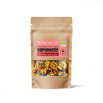 Fruktiga tillbehör till müsli och desserter immunstärkande Ekologisk 20 g – Dary Natury