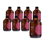 SET OM 8 x Kombucha Mango + Passionsfrukt BIO 330 ml - Vigo