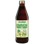 Kombucha lime-ingefära Ekologisk 330 ml – Voelkel