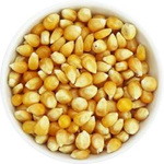 Popcorn (majskorn) BIO (råvara) (25 kg) 2