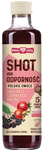 SHOT for immunity "Polish fruit" 250 ml