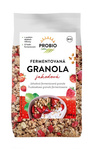 Fermenterad jordgubbsgranola bio 300 g - PROBIO